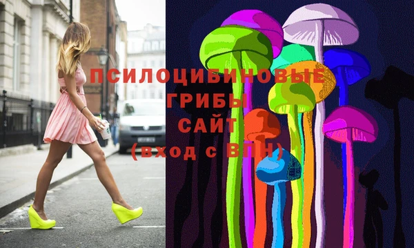 apvp Алексин