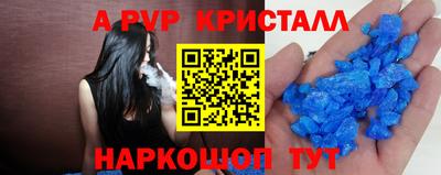 СК Новодвинск