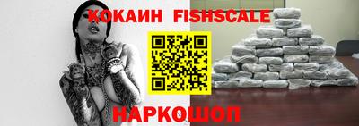 СК Новодвинск