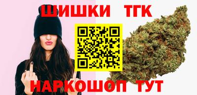СК Новодвинск