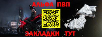 СК Новодвинск
