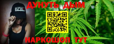 СК Новодвинск