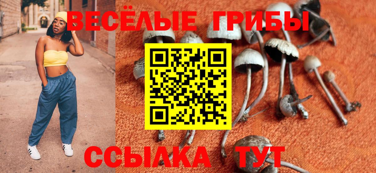 Псилоцибиновые грибы Cubensis Уссурийск