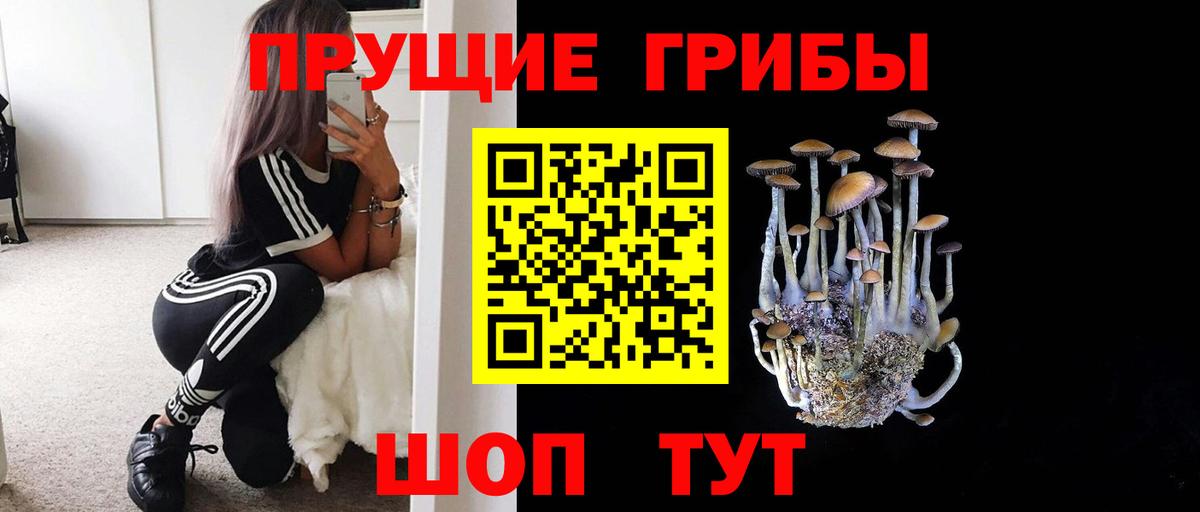 Уссурийск  Галлюциногенные грибы Magic Shrooms  Вход с VPN 